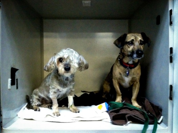 arta ludwig at hospital